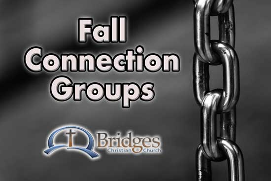 Fall Groups Bridges